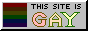 site is GAY!